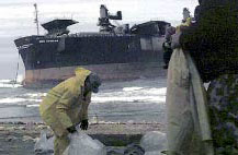 Shoreline cleanup operations during New Carissa oil spill,