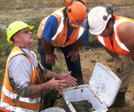 Three construction workers around an insulated container