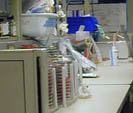 Laboratory