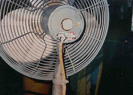 fan
