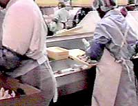 Tray Packer