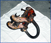 Photo courtesy of VSRA.  This picture shows a beam clamp.