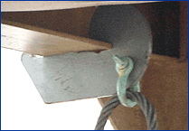 Photo courtesy of VSRA.  This picture shows a pork chop.