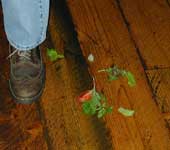 Food on floors can be a slip hazard