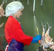 Poultry processing