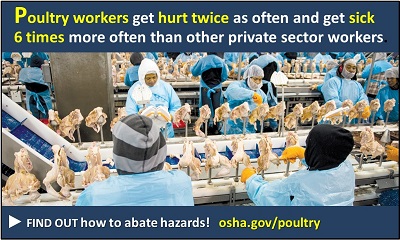 Poultry workers get hurt twice as often and get sick 6 times more often than other private sector workers. Find out how to abate hazards! osha.gov/pou