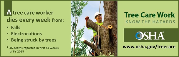 A tree care worker dies every year from falls, electrocution, being struck by trees. www.osha.gov/treecare