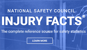 Screenshot of Injury Facts resource