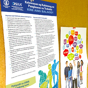 Photo of OSHA Posters