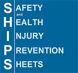 SHIPS logo