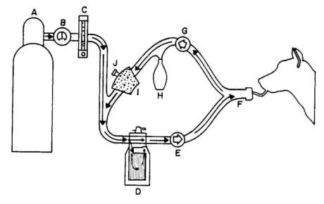 Figure 8 - For problems with accessibility in using figures and illustrations, please contact the OSHA Directorate of Technical Support and Emergency Management at (202) 693-2300.