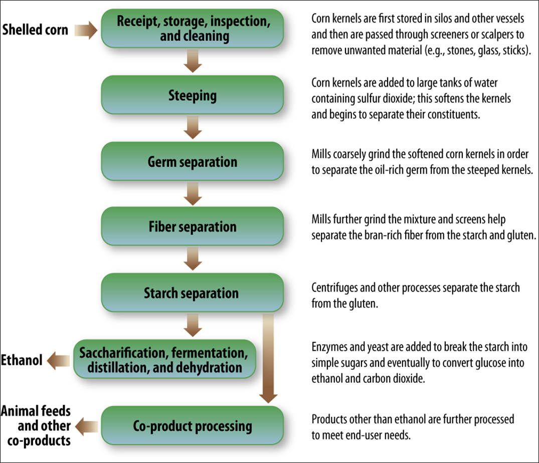 Figure II.20. General Overview of the Corn Wet-Milling Process