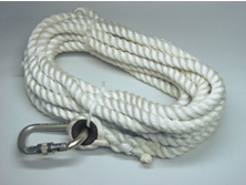 Rope grab (with vertical lifeline)