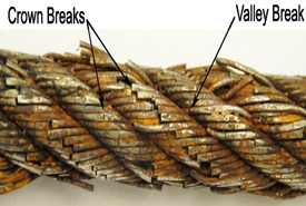 Photo 1: Crown breaks with square terminations typical of fatigue.