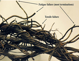 Photo 2: A portion of the failed wire rope section showing an excessive number of fatigue breaks in any length.