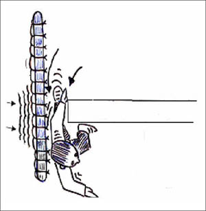 Figure 2-4. Employee clears floor edge and when the net tightens near the bottom rail it would have the tendency to push the employee out of the new.