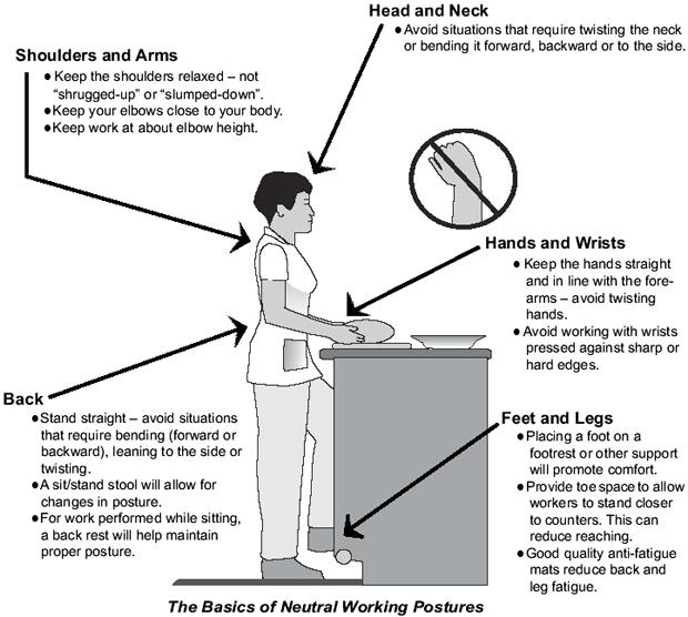 Depiction of person standing at a work counter with arrows pointing to each of the areas described in the list text above