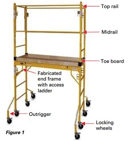 scaffold
