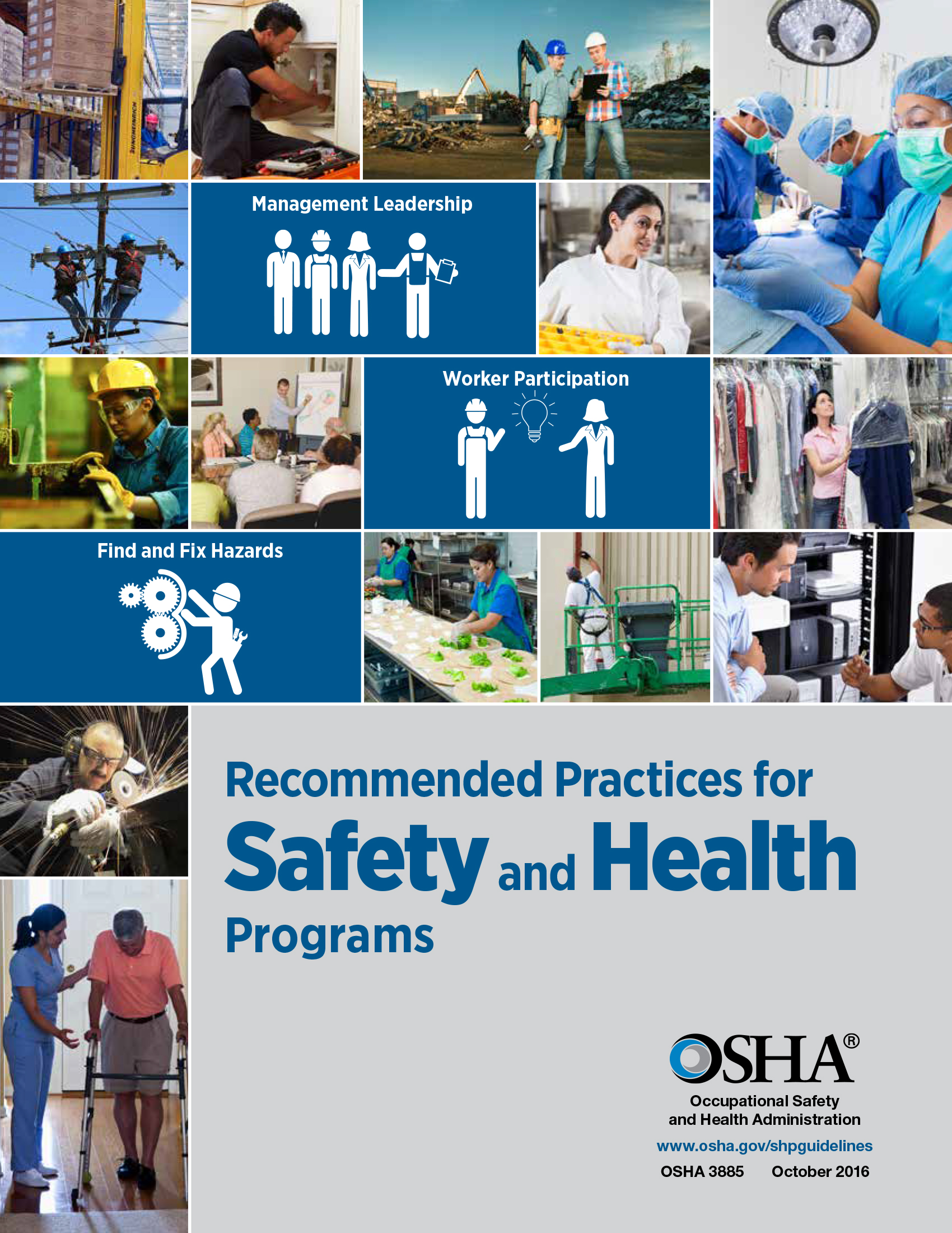 Recommended Practices for Safety and health Programs